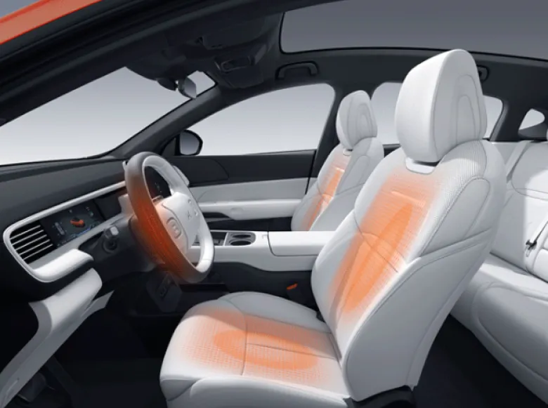 Surrounding Comfort Seats